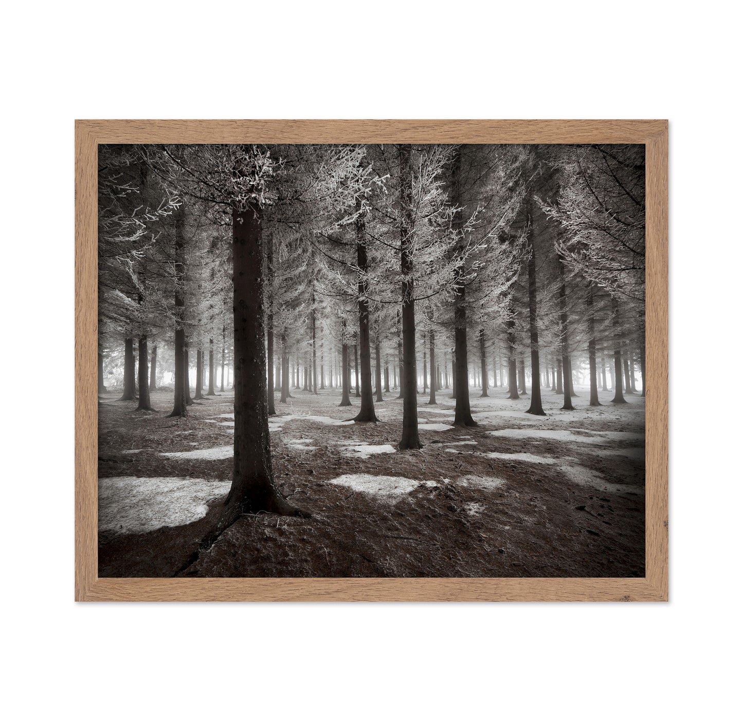 The Onset Of Winter