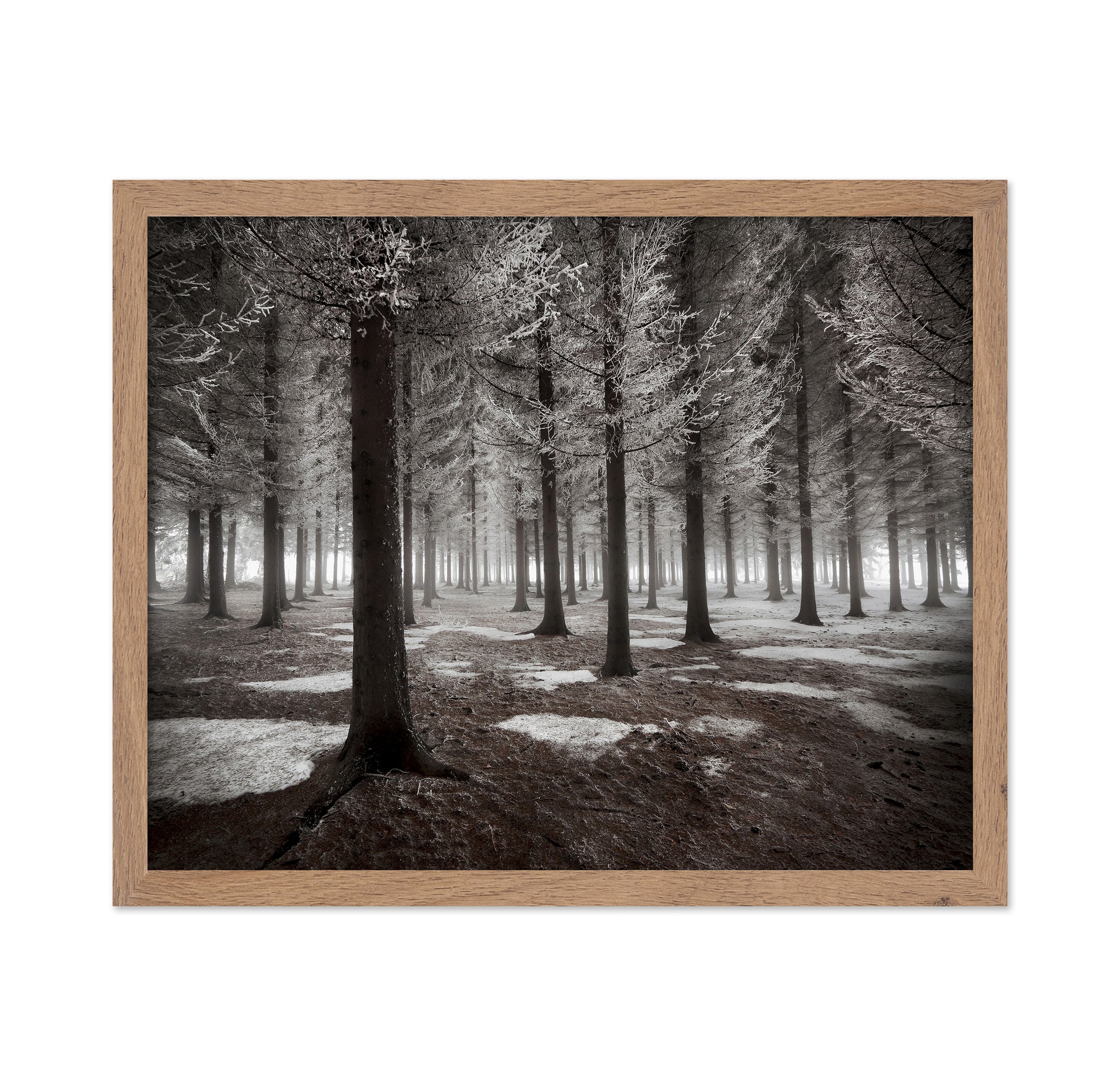 The Onset Of Winter