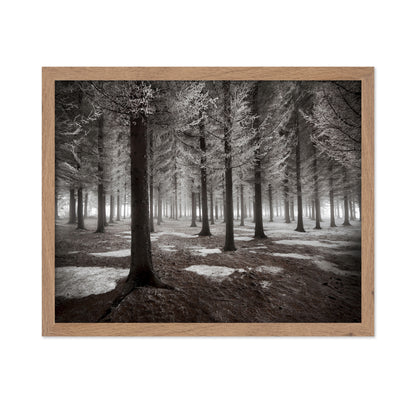 The Onset Of Winter