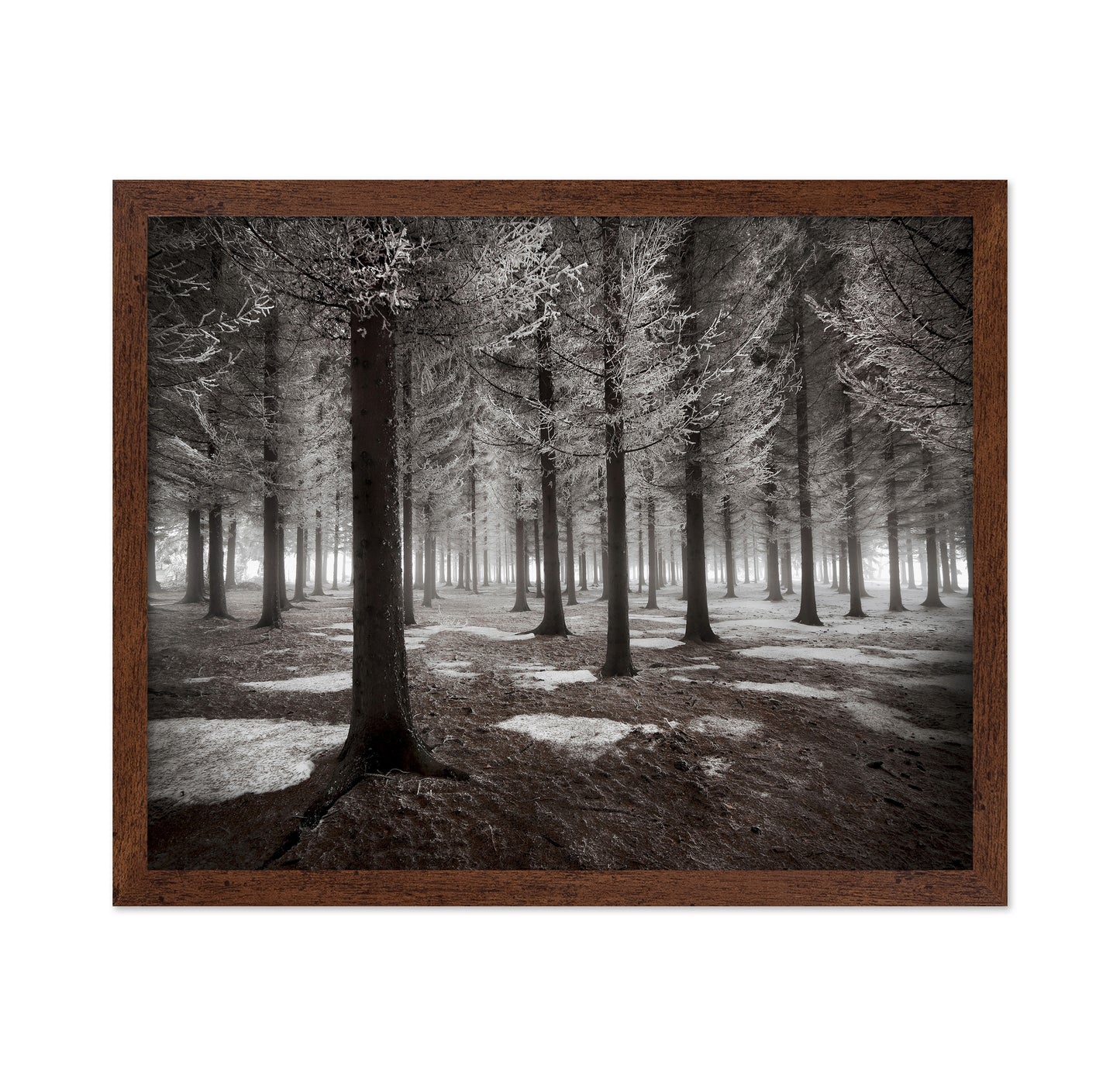 The Onset Of Winter