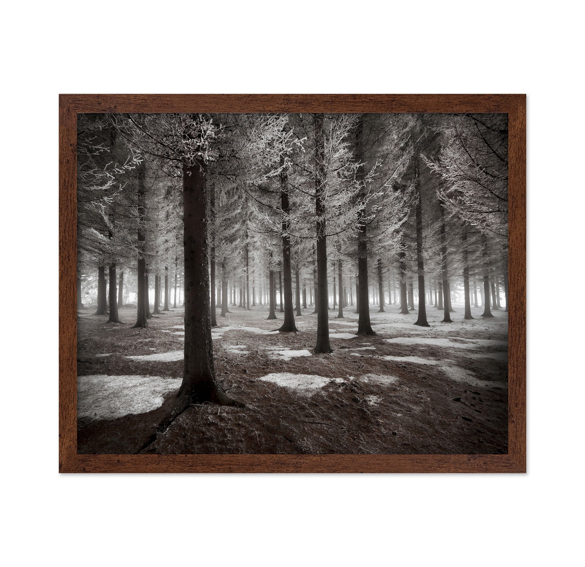 The Onset Of Winter