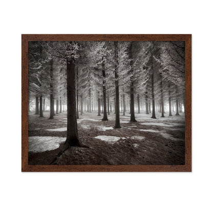 The Onset Of Winter