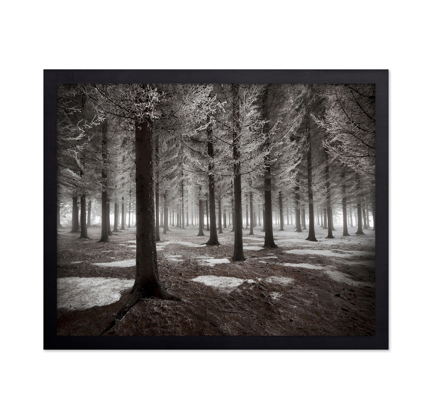 The Onset Of Winter
