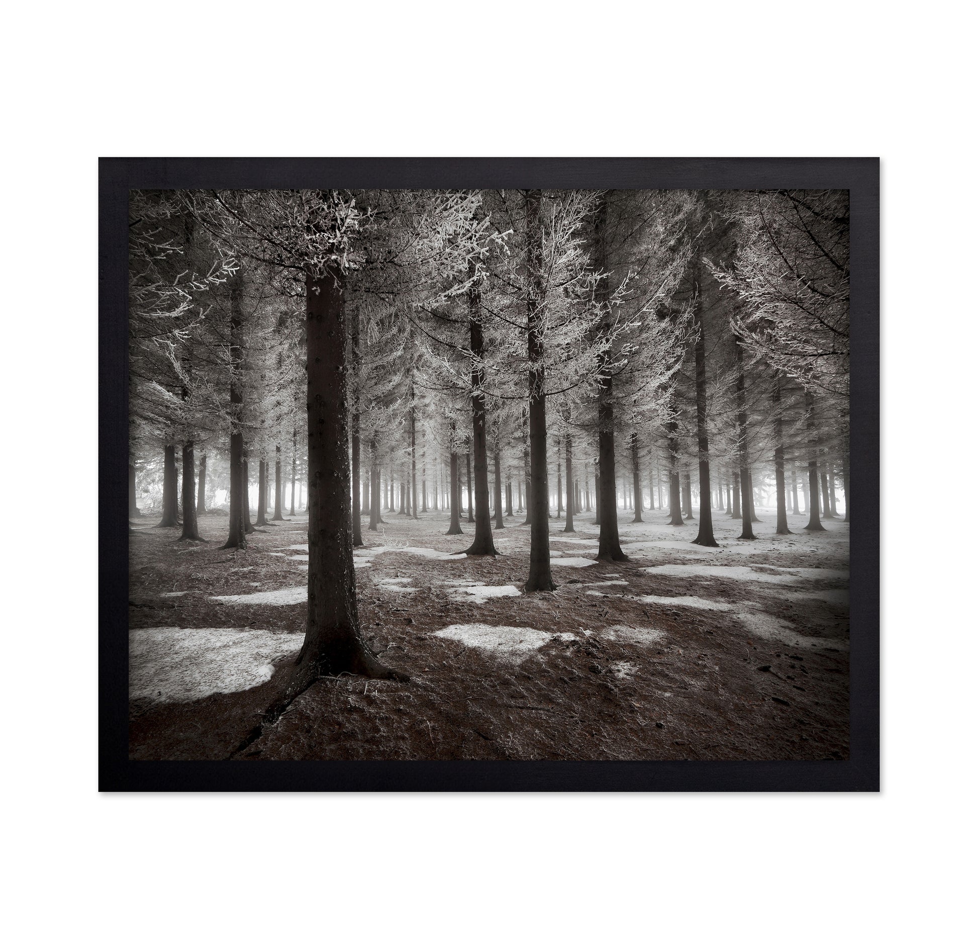 The Onset Of Winter