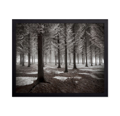 The Onset Of Winter