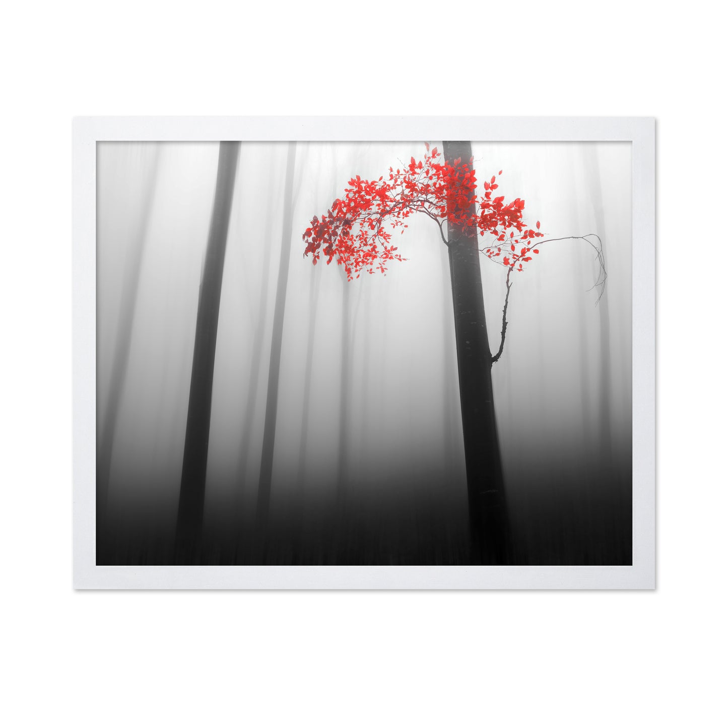 Red Forest Mist No1