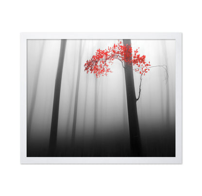 Red Forest Mist No1