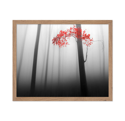 Red Forest Mist No1