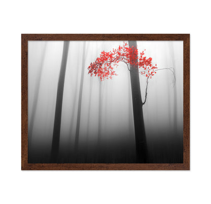 Red Forest Mist No1