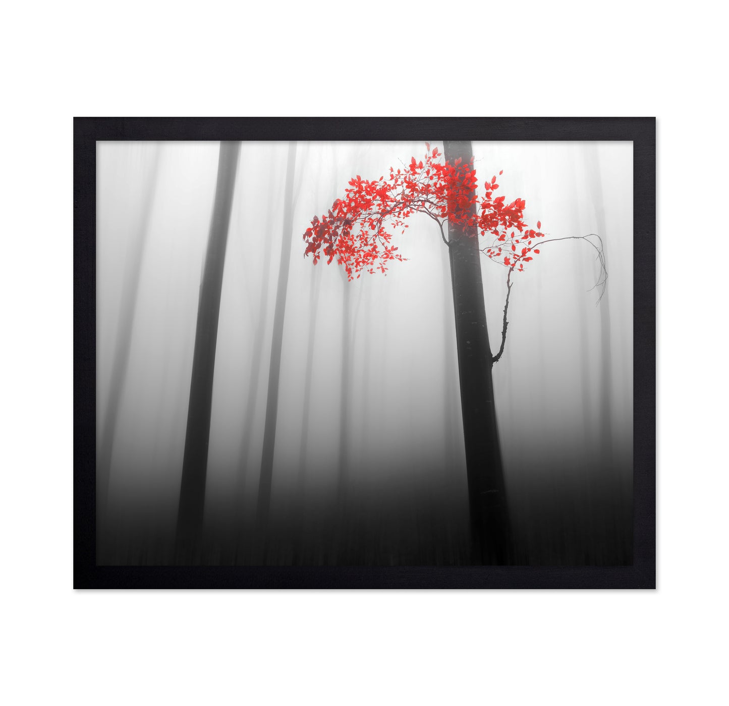 Red Forest Mist No1