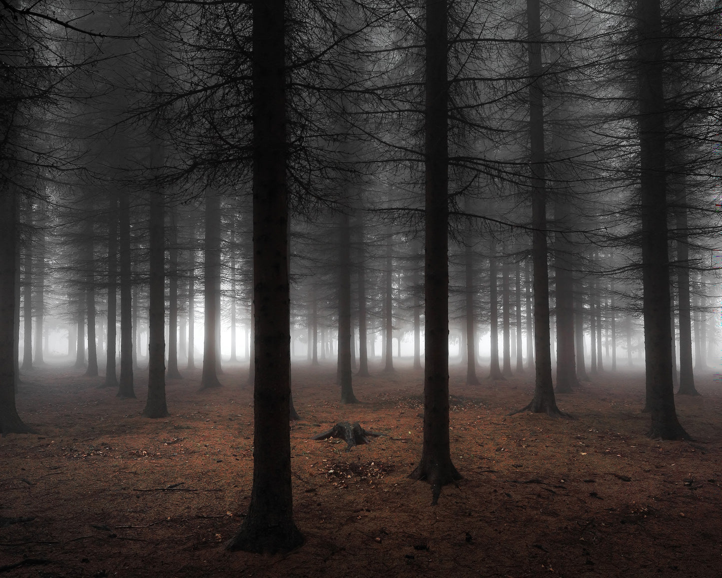 Silence No 2