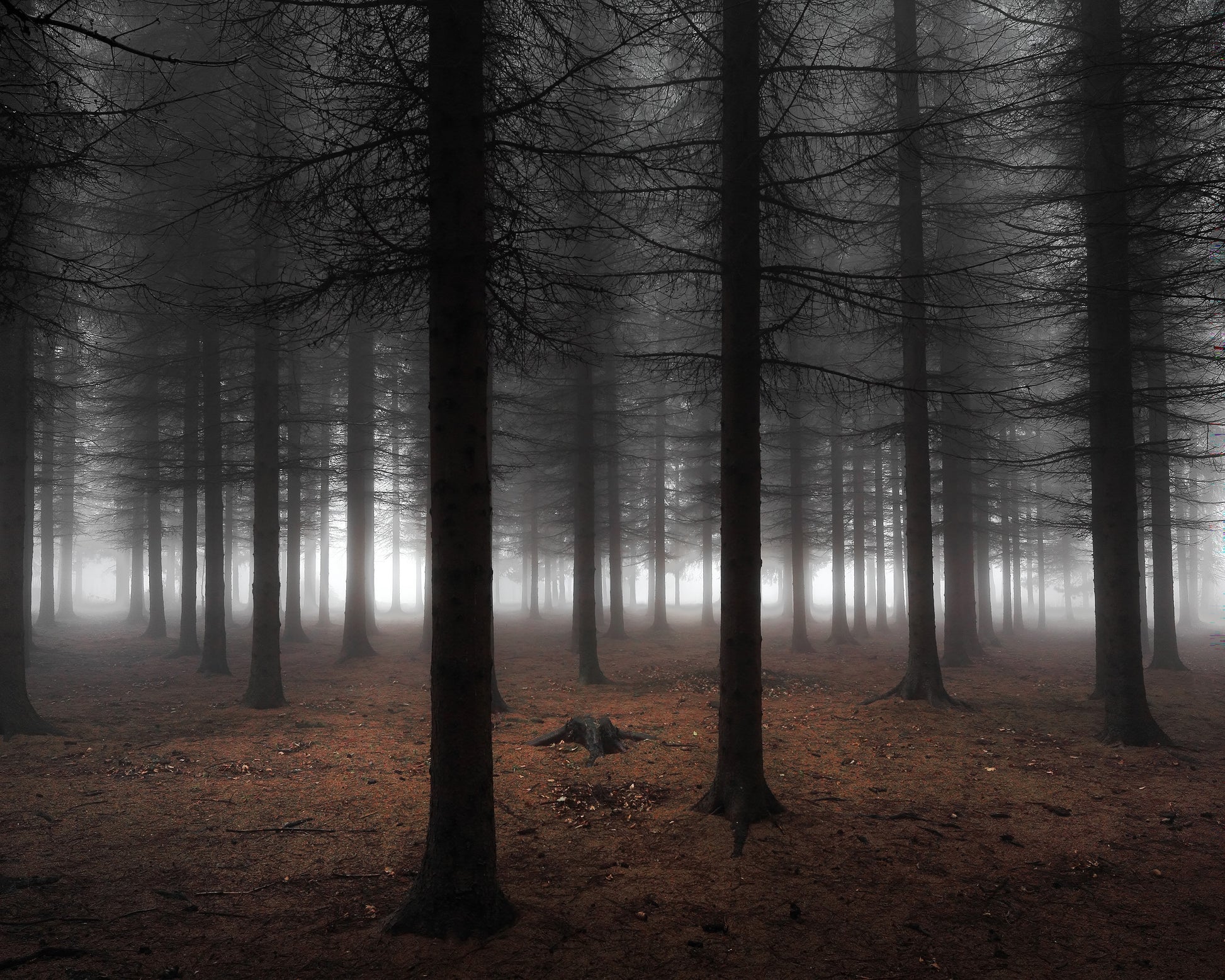 Silence No 2