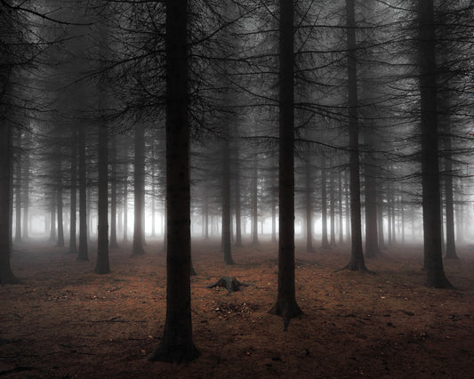 Silence No 2