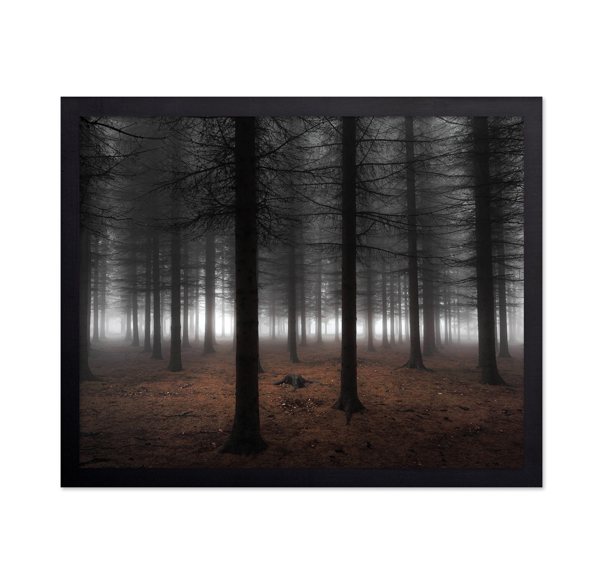 Silence No 2