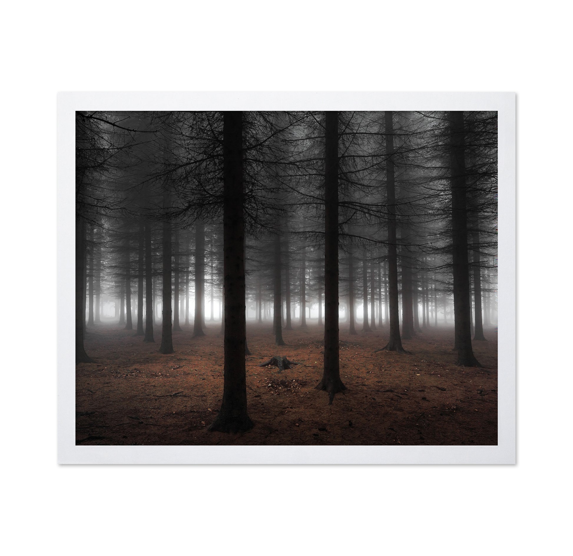 Silence No 2