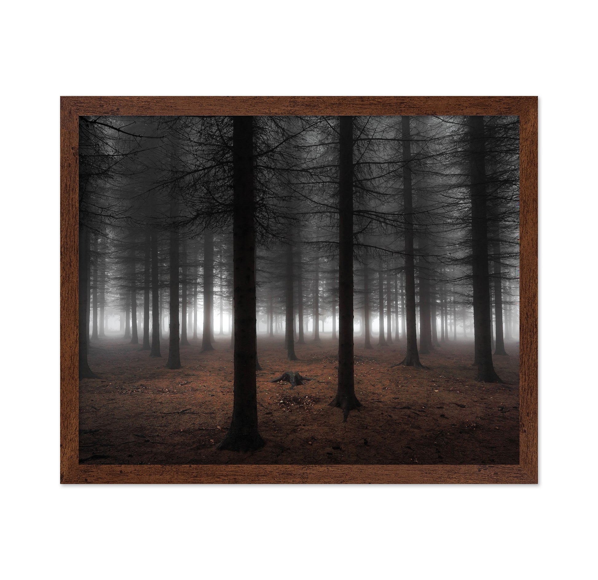 Silence No 2
