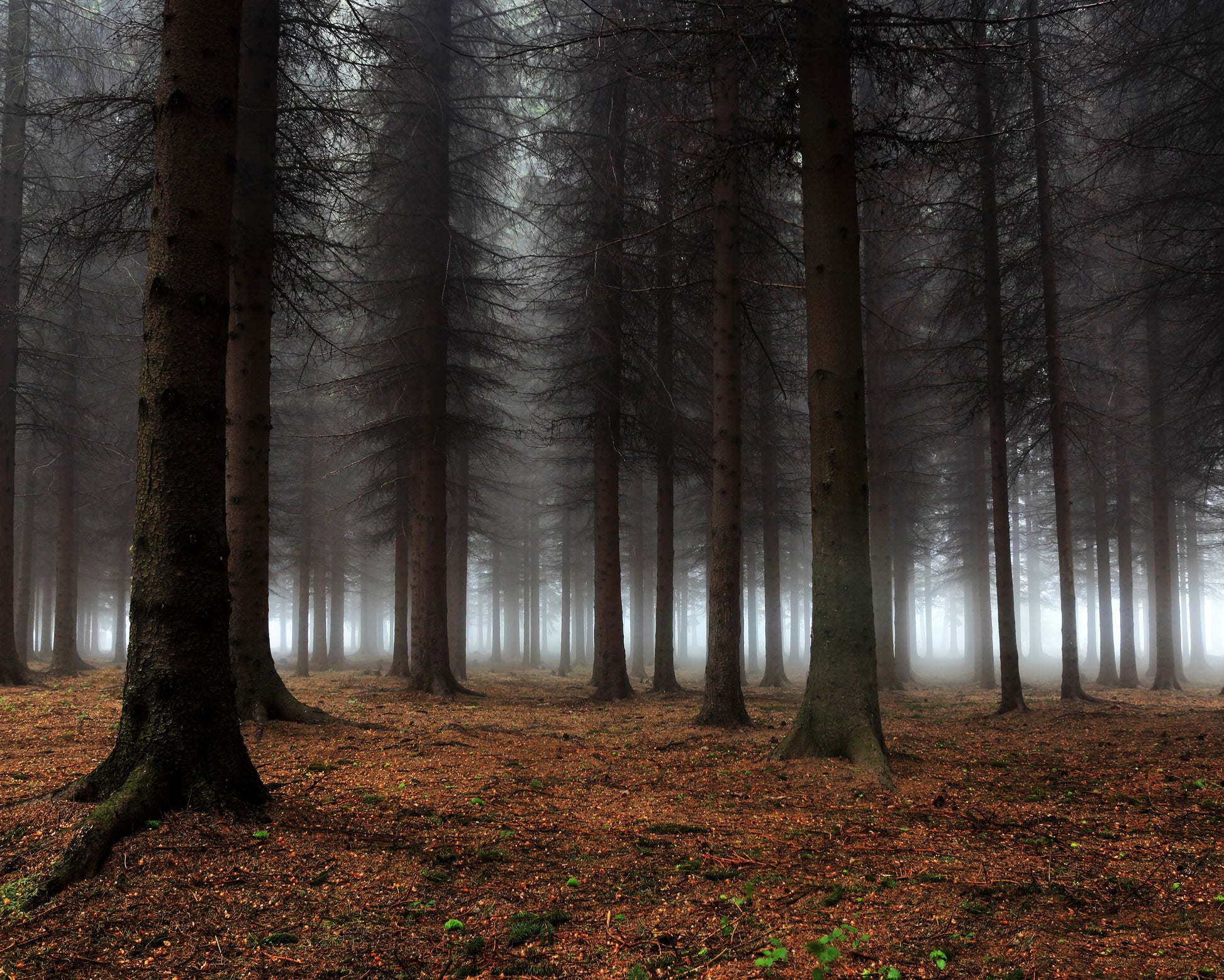Place Of Silence
