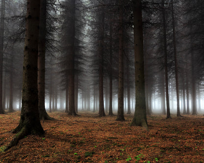Place Of Silence