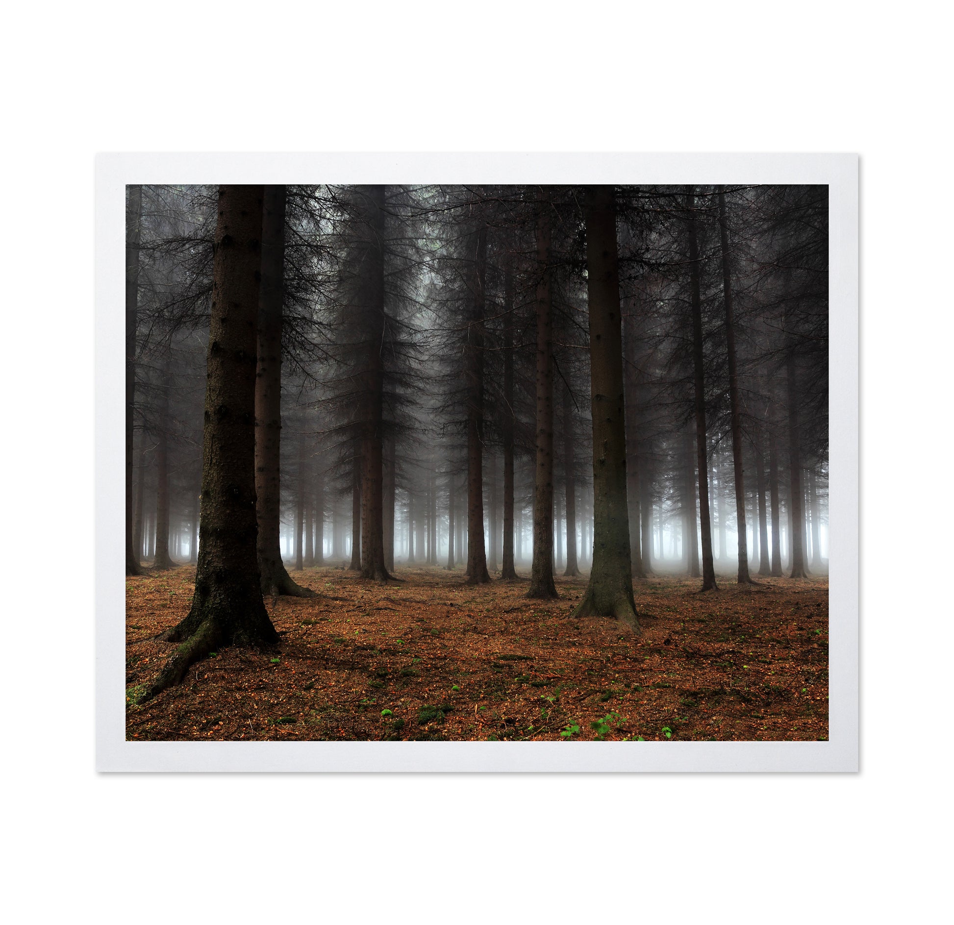 Place Of Silence