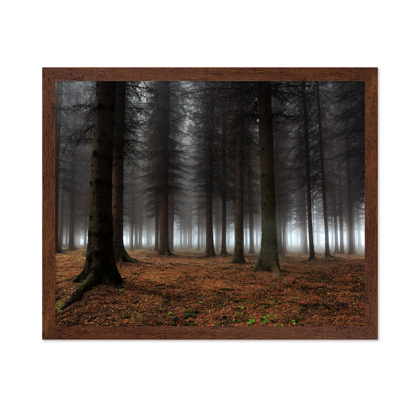 Place Of Silence