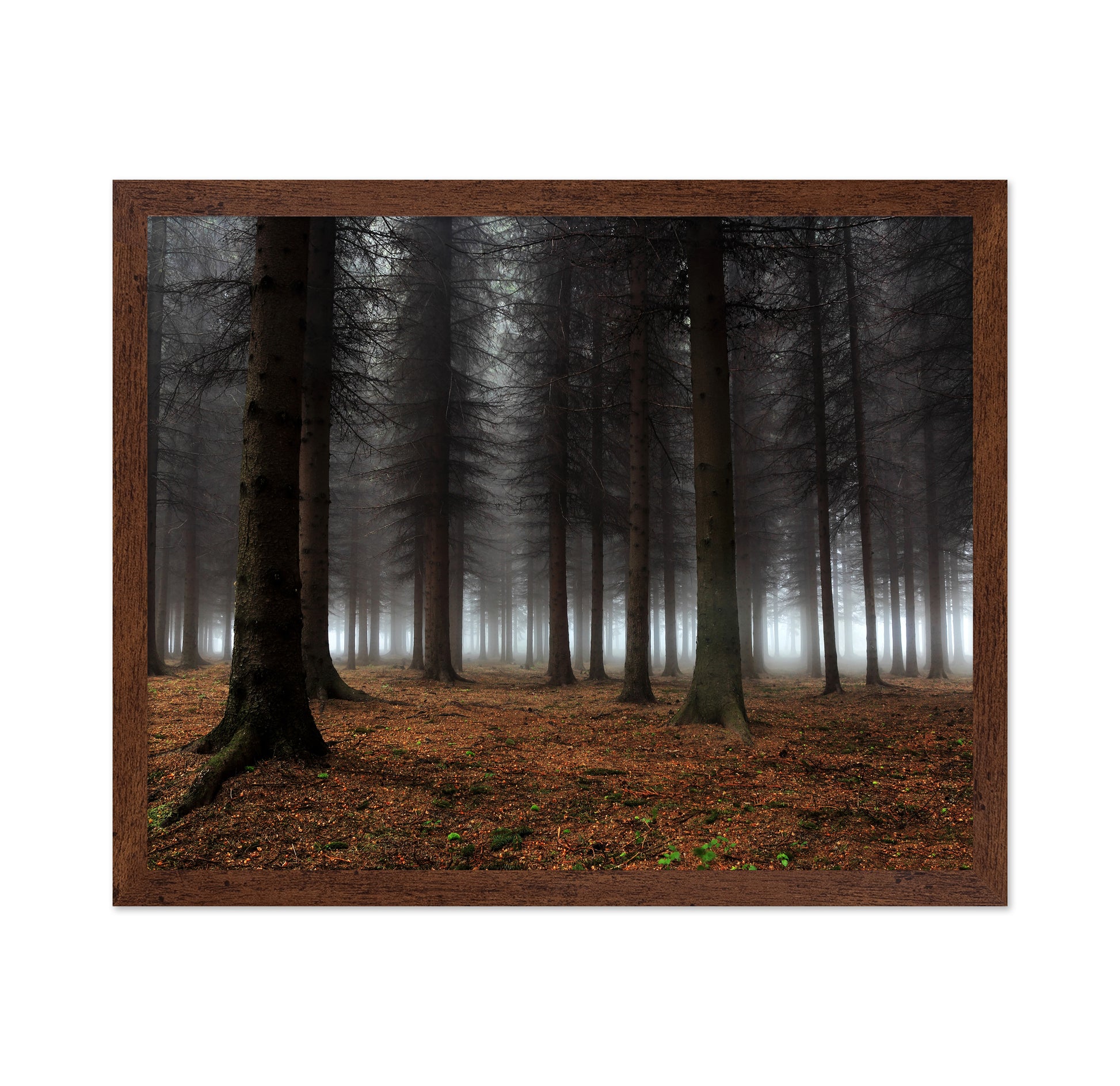 Place Of Silence