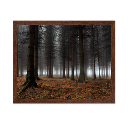 Place Of Silence