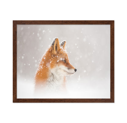 Snowy Fox Serenity