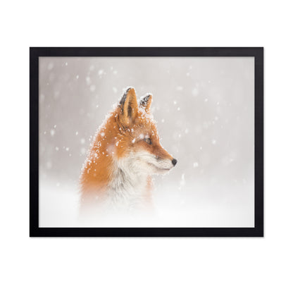 Snowy Fox Serenity