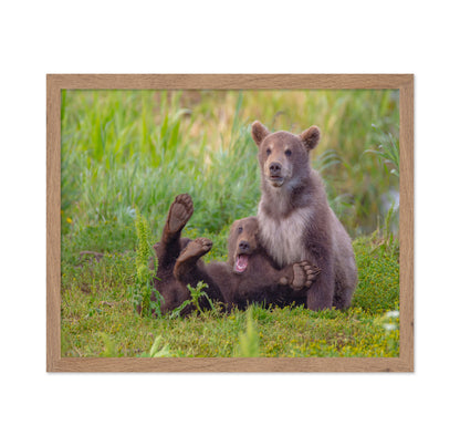 Bear Games