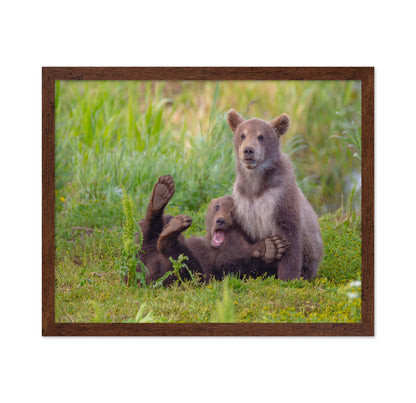 Bear Games