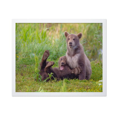 Bear Games
