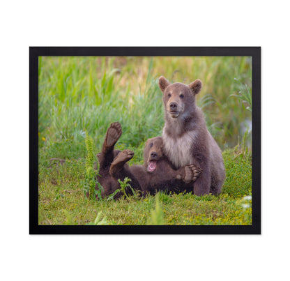 Bear Games