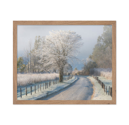A Frosty Morning