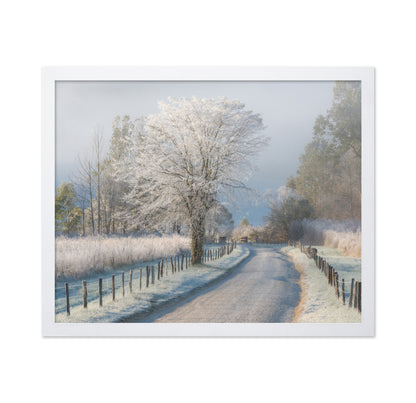 A Frosty Morning