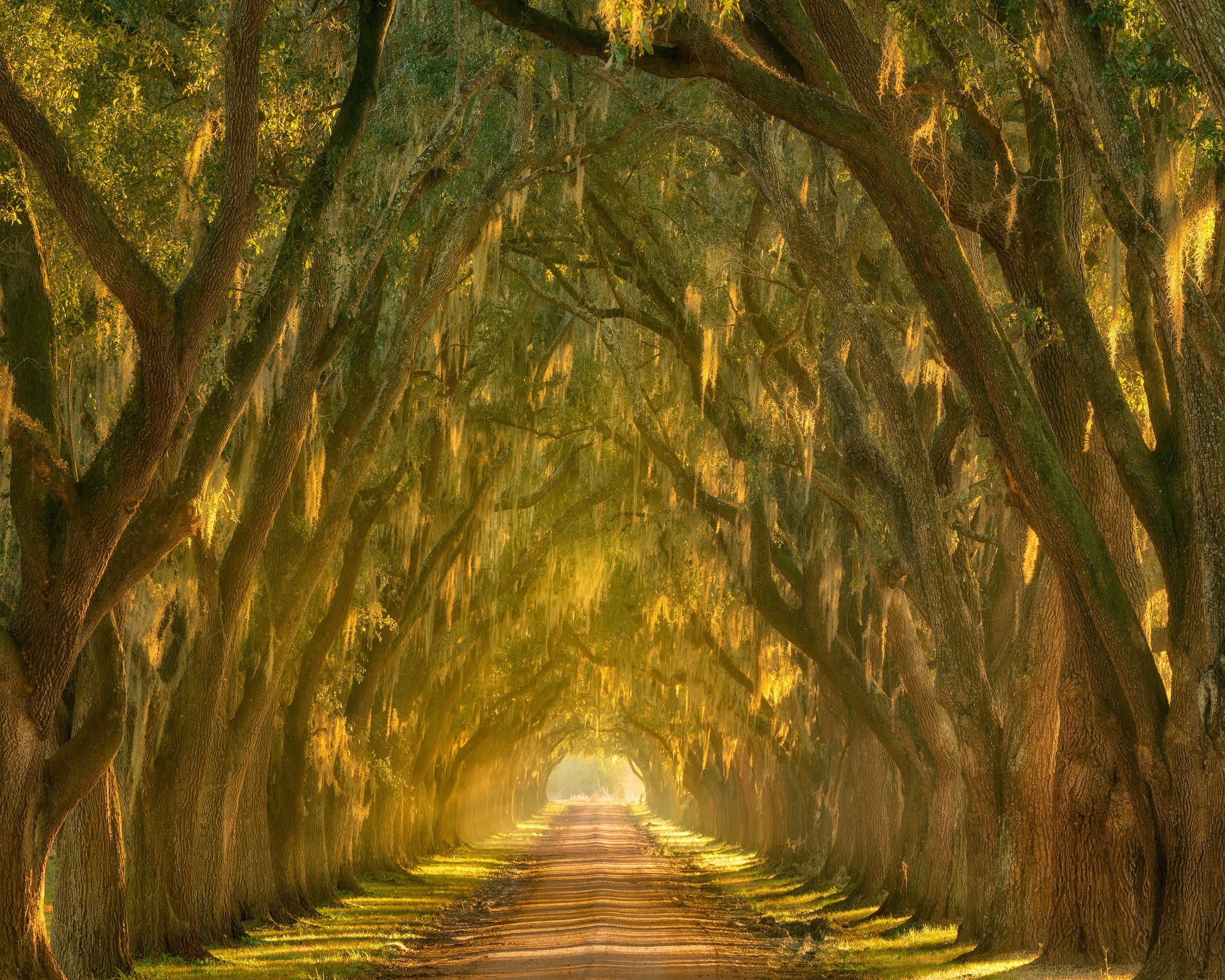 Illumination Alley