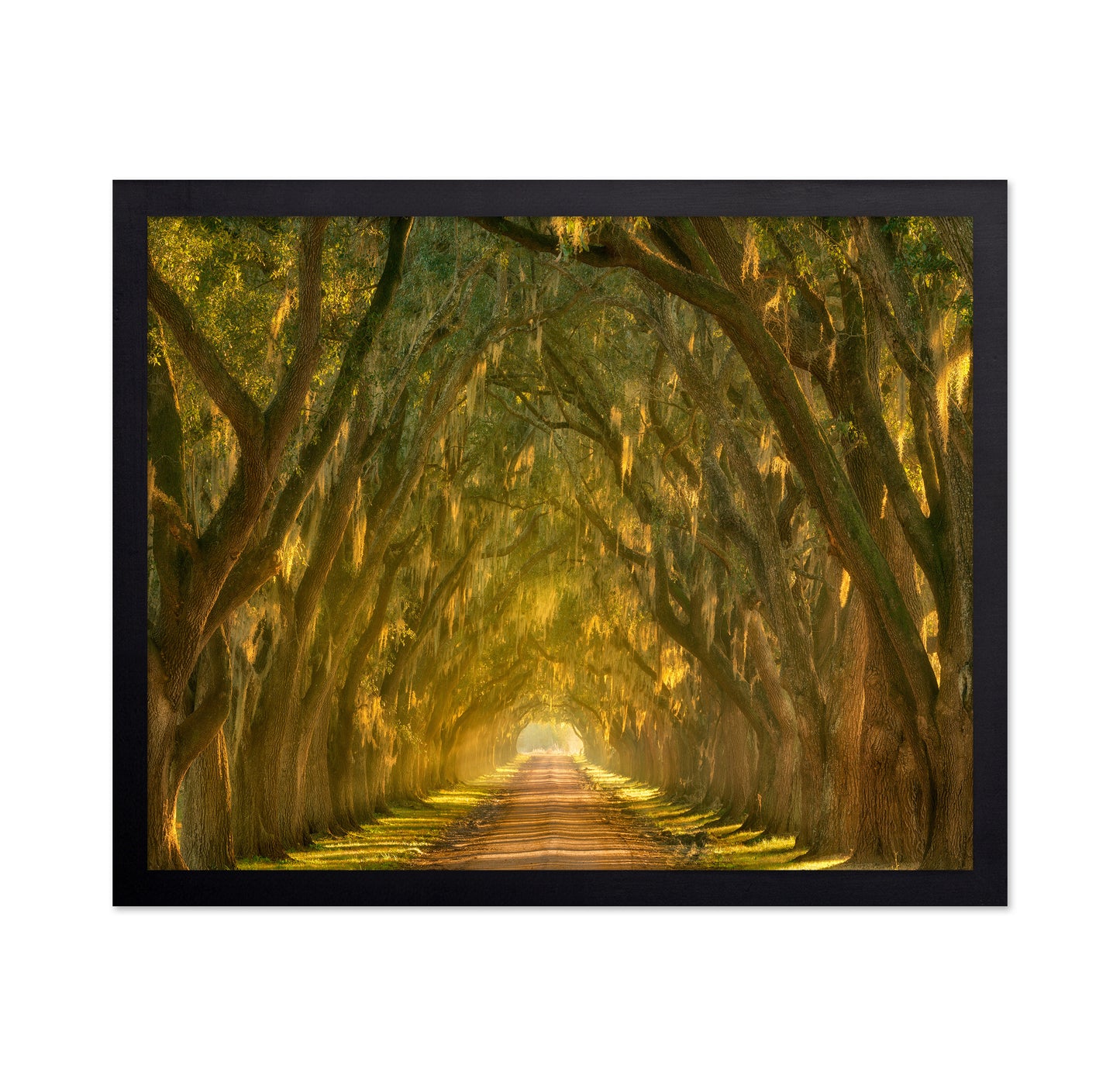 Illumination Alley