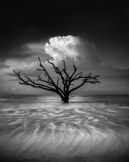 Oceanus