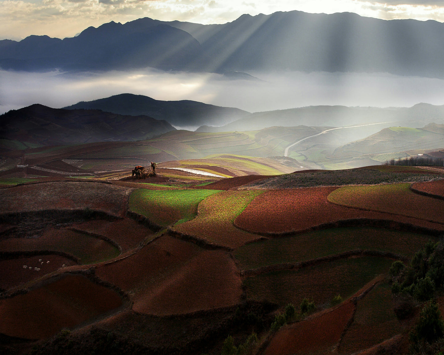 Early Spring On Red Land