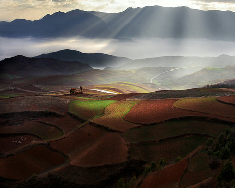 Early Spring On Red Land