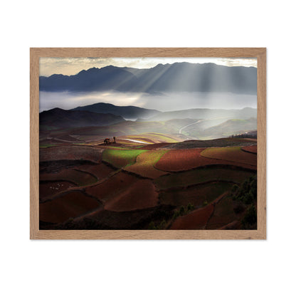 Early Spring On Red Land