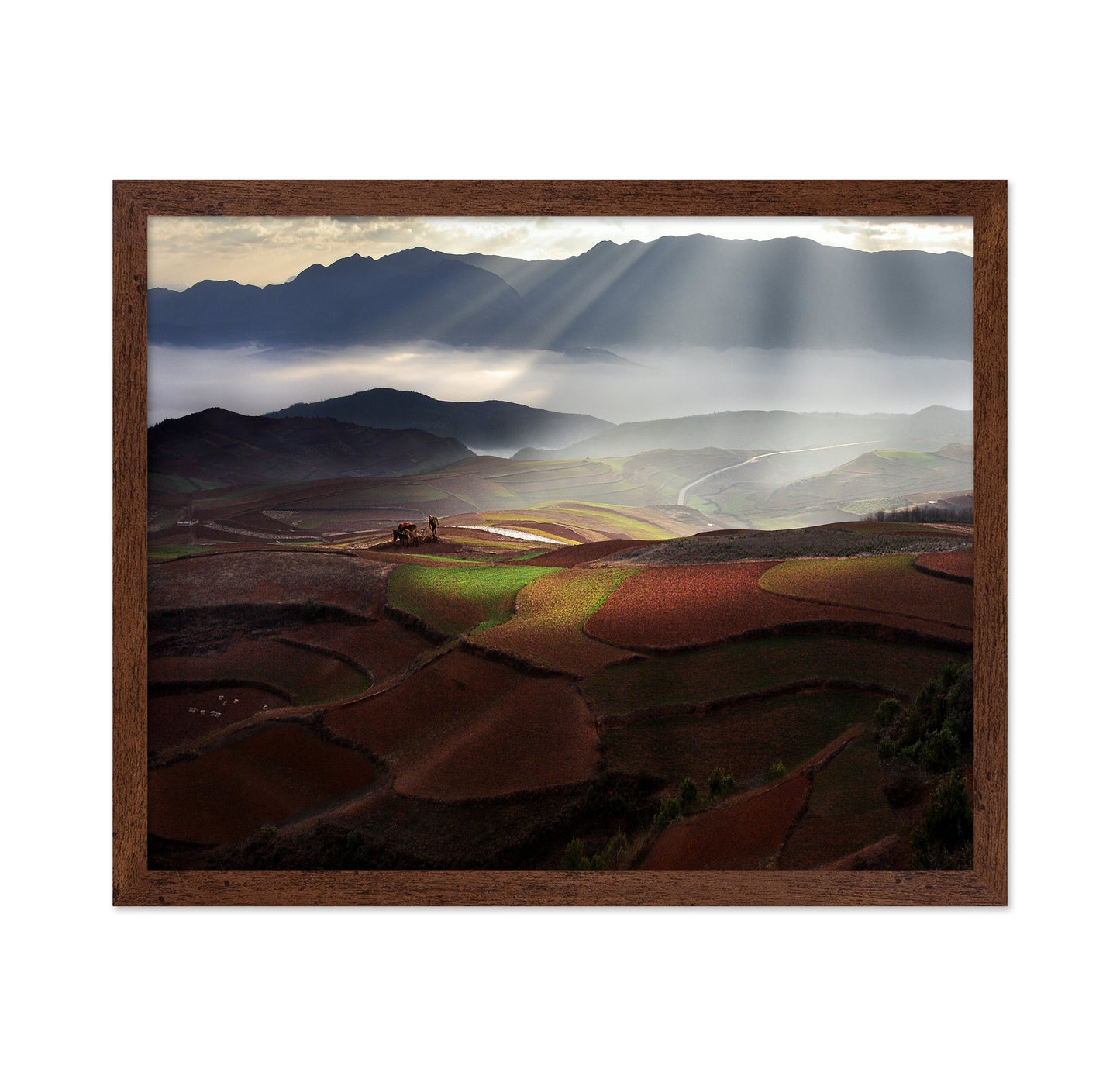 Early Spring On Red Land