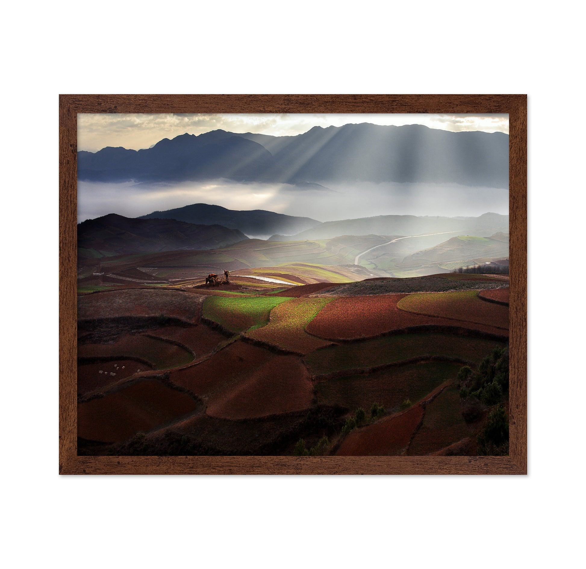Early Spring On Red Land