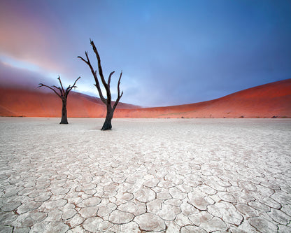Mist Over Deadvlei