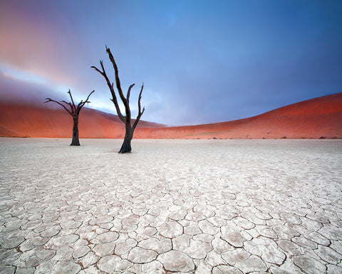Mist Over Deadvlei