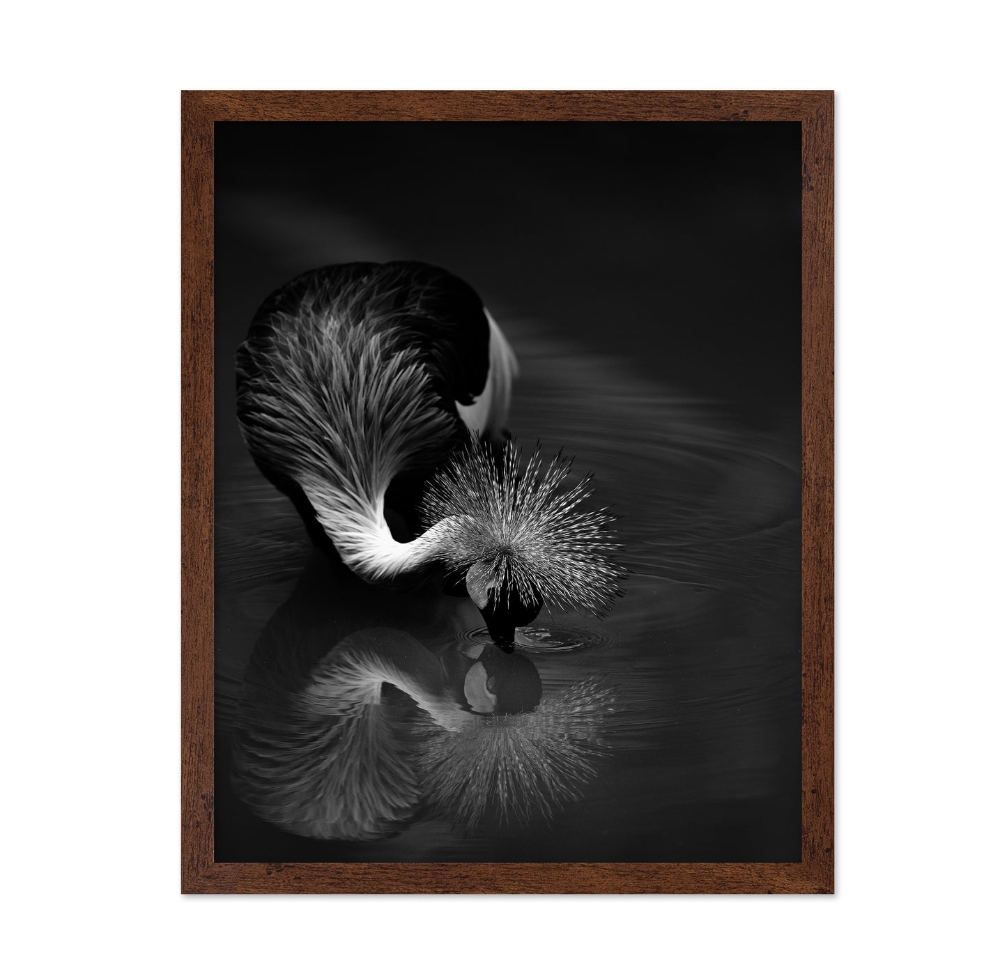 The Reflection