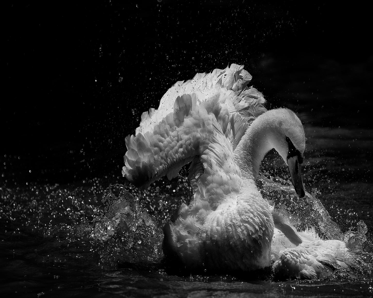In Motion