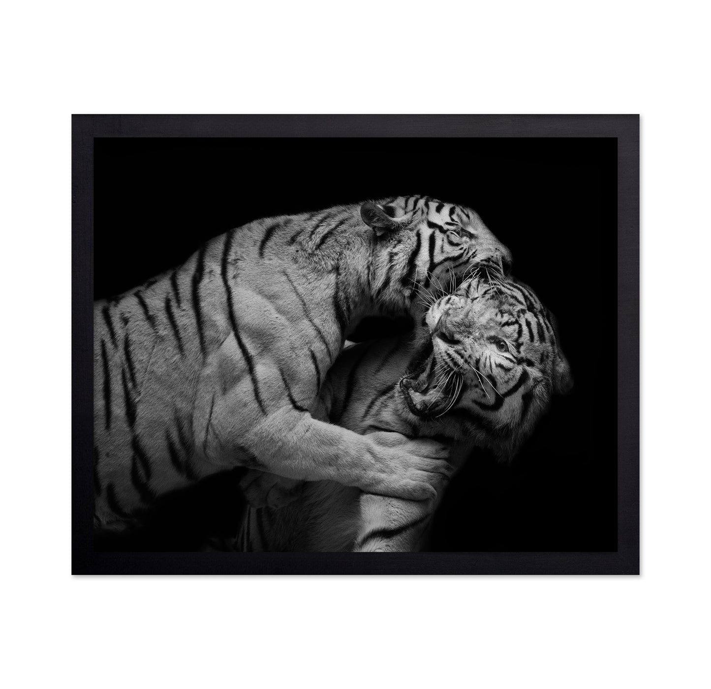 Pounce