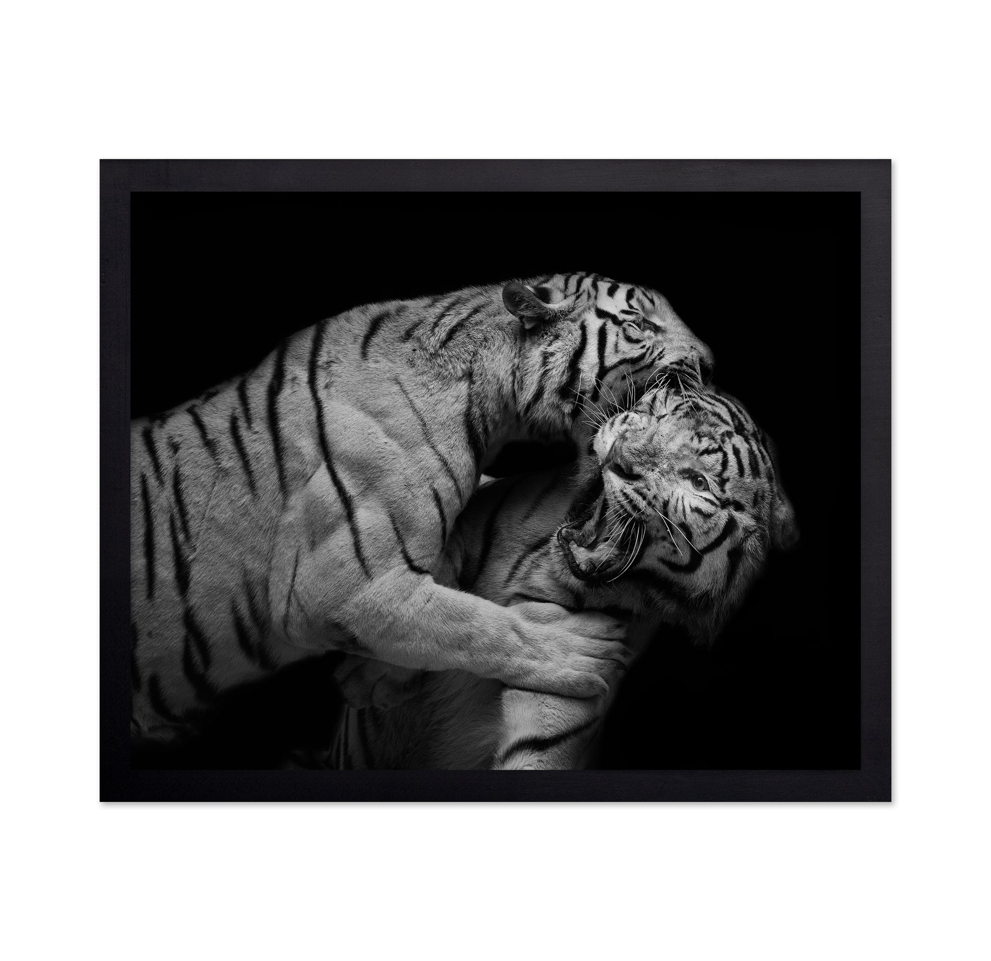 Pounce