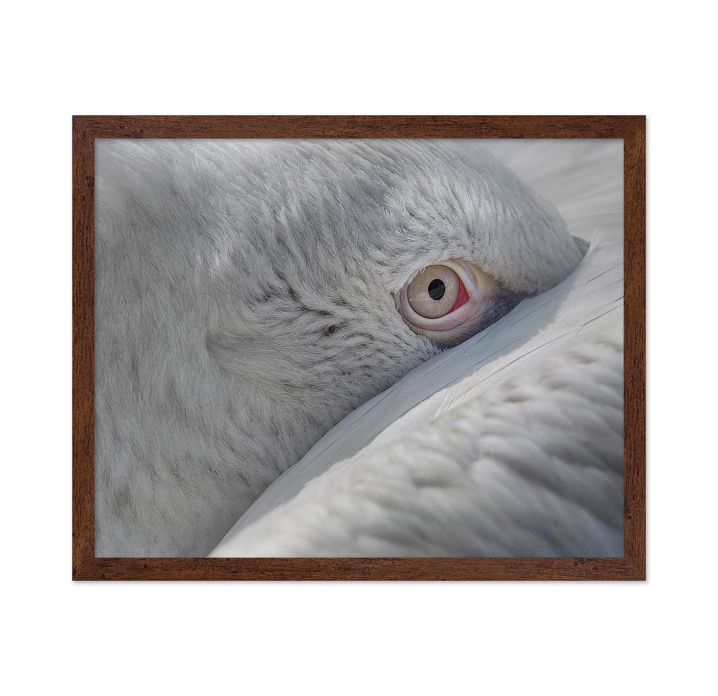 Eye