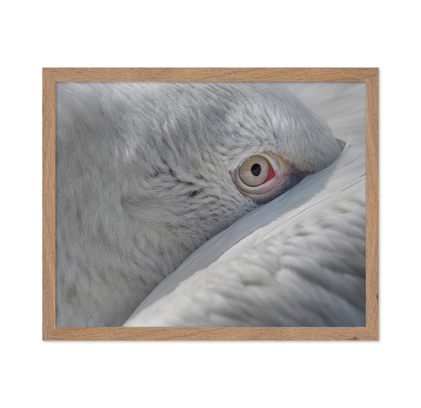 Eye
